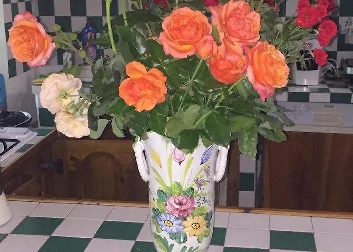 Historic 600 Years Old Beautifully Renovated Olive Mill House Holiday home *