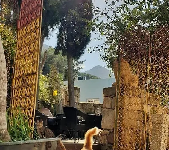 Holiday home Historic 600 Years Old Beautifully Renovated Olive Mill House Meniko