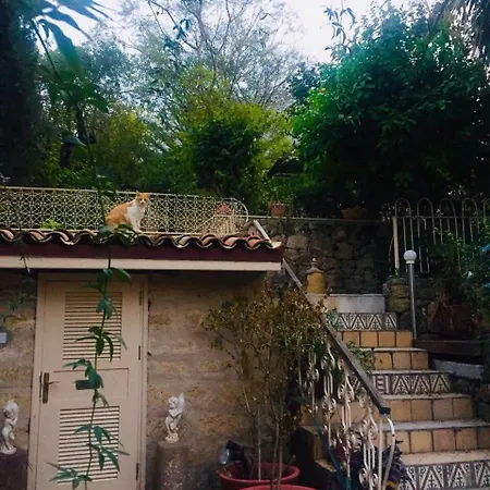 Historic 600 Years Old Beautifully Renovated Olive Mill House *