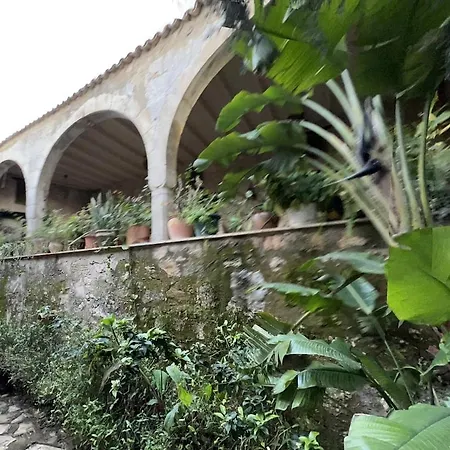 Tatil Evi Historic 600 Years Old Beautifully Renovated Olive Mill House Meniko