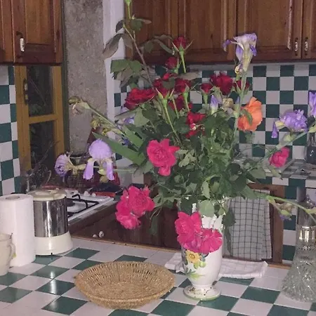 Historic 600 Years Old Beautifully Renovated Olive Mill House Tatil Evi Meniko