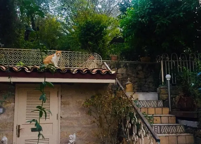 Historic 600 Years Old Beautifully Renovated Olive Mill House *