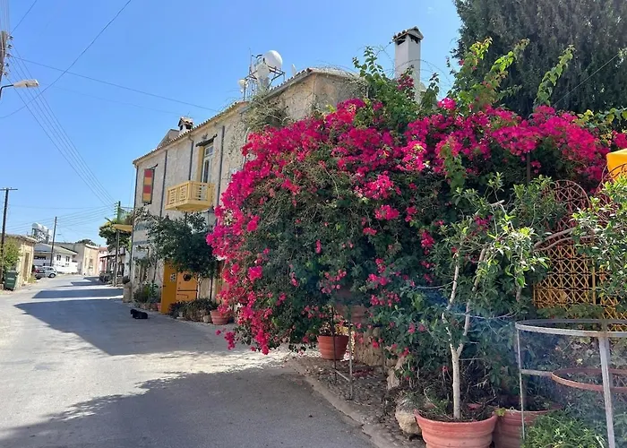 Historic 600 Years Old Beautifully Renovated Olive Mill House Vakantiehuis Meniko