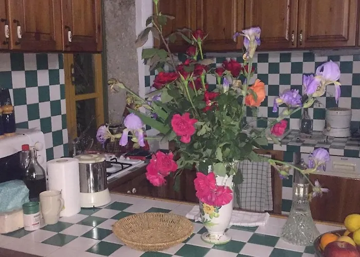 Historic 600 Years Old Beautifully Renovated Olive Mill House Vakantiehuis Meniko