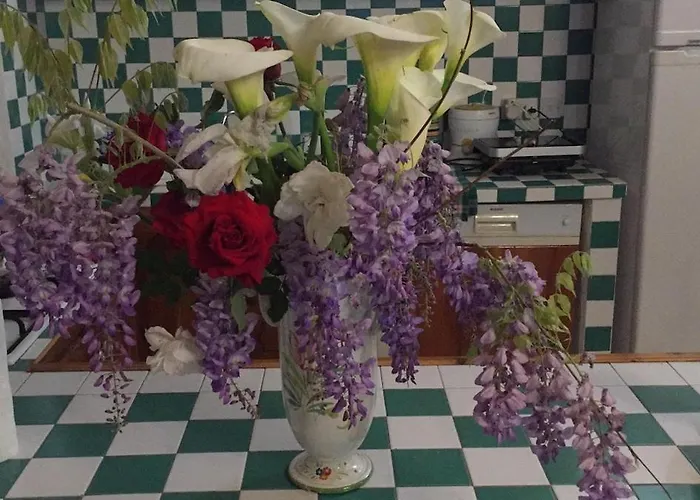 Historic 600 Years Old Beautifully Renovated Olive Mill House 別荘