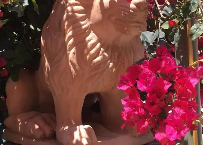 Historic 600 Years Old Beautifully Renovated Olive Mill House